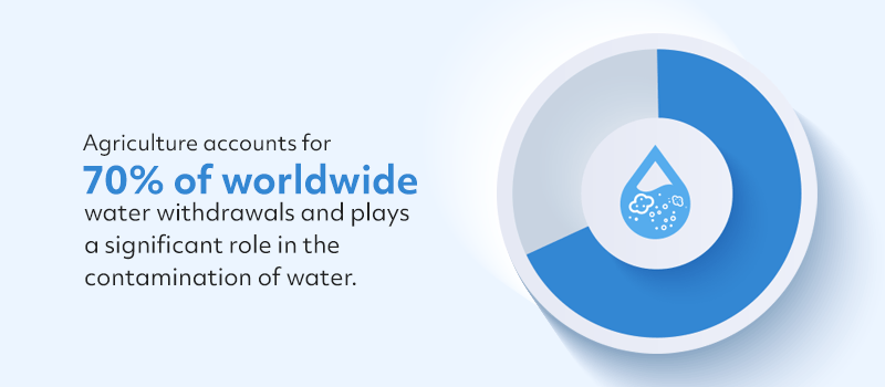 Agriculture Accounts for 70% of Worldwide Water Withdrawals