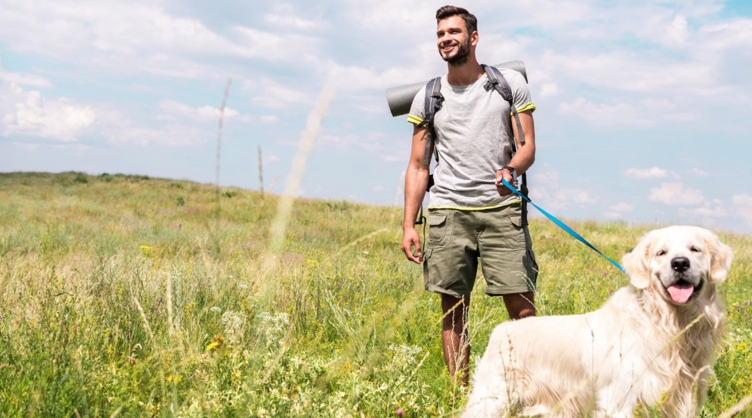 Man hiking through a grassy meadow with a backpack, accompanied by a golden retriever on a leash under a partly cloudy sky.