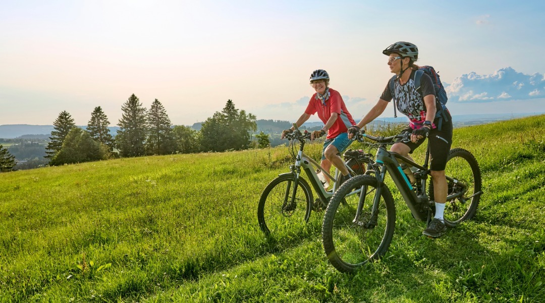 Two cyclists wearing helmets riding mountain bikes through a sunny green meadow, with rolling hills, trees, and a blue sky in the background.