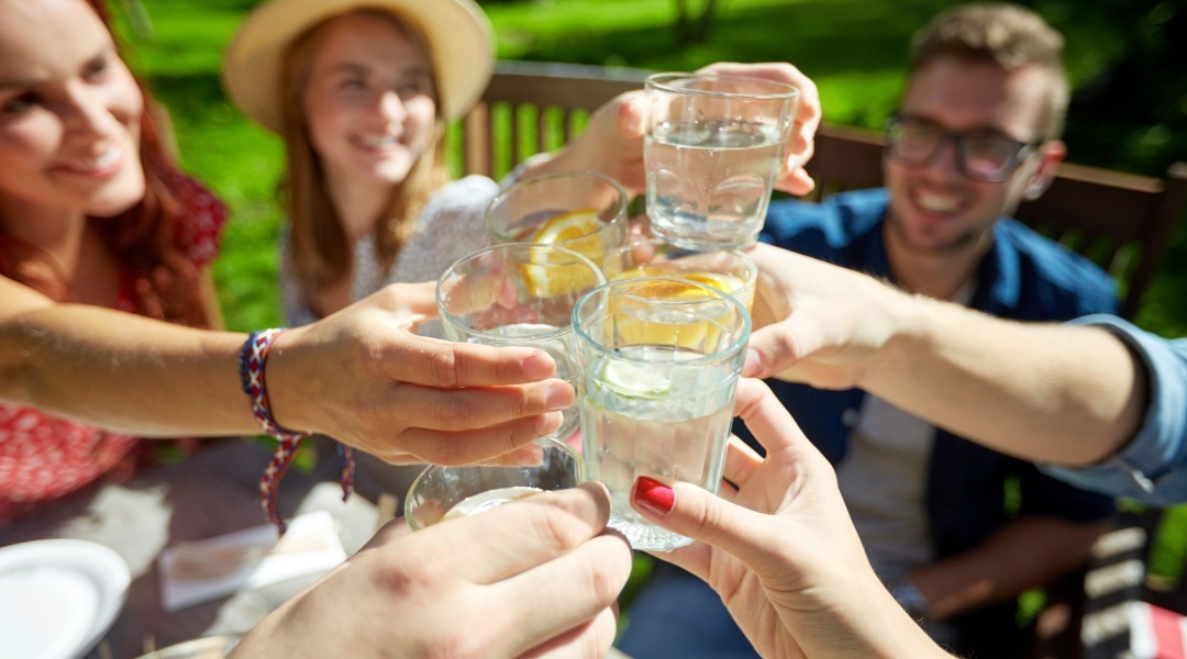 Group of friends outdoors on a sunny day raising glasses of water, some with lemon slices, in a cheerful toast around a picnic table.